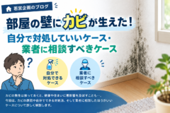 部屋の壁にカビが生えた！自分で対処していいケース・業者に相談すべきケース